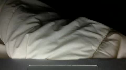 wholesomebull00 online show from 11-10-25, 04:55