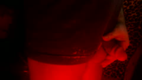 whor4mor online show from 02-24-25, 02:26