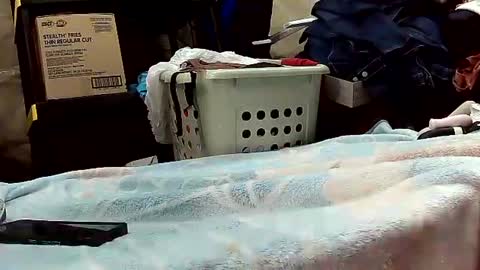 Snapshot of wife_phucker69 chatting on 10-20-25, 12:16 Ryder Harder online show from 10-20-25, 12:16