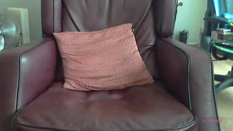 Snapshot of wilbert31 chatting on 06-16-26, 07:44 wilbert online show from 06-16-26, 07:44