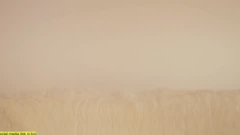 wild_schoolgirl online show from 01-18-25, 09:45