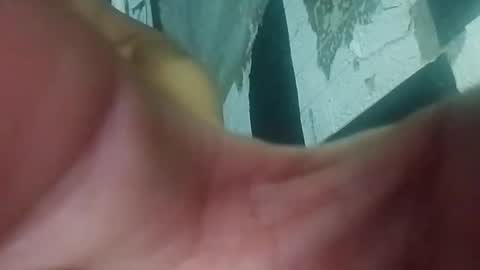 Snapshot of wildasshole123 chatting on 11-29-25, 12:19 wildasshole123 online show from 11-29-25, 12:19