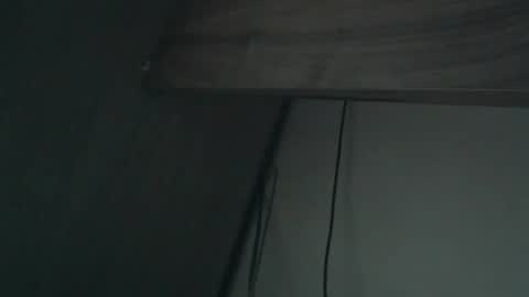 wildbrdick online show from 04-16-26, 02:12