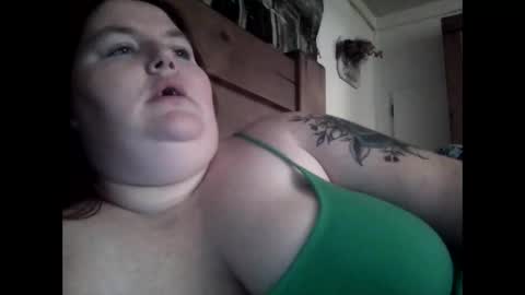 Wildforlife online show from 12-12-24, 04:26