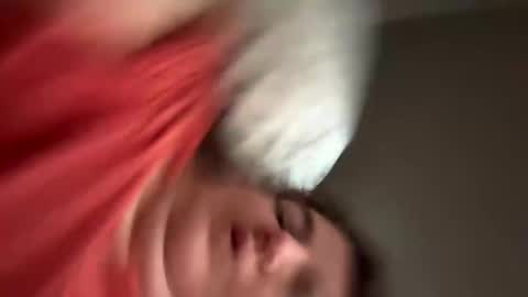 Wildforlife online show from 01-19-25, 02:06