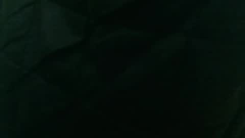 wildinwest online show from 02-09-26, 07:34