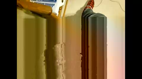 wildman2900 online show from 12-29-24, 03:24