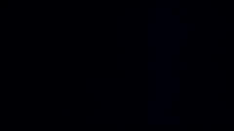 wildman3845 online show from 12-22-24, 12:27