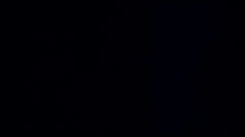 wildman3845 online show from 12-30-24, 11:59