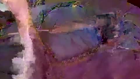 bobby banks online show from 02-20-26, 05:02