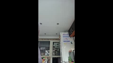 WildPersia online show from 01-15-26, 09:47