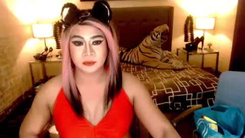 Snapshot of wildtransjhade chatting on 01-06-25, 09:30 wildtransjhade online show from 01-06-25, 09:30