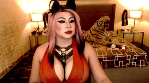 Snapshot of wildtransjhade chatting on 01-18-25, 06:32 wildtransjhade online show from 01-18-25, 06:32