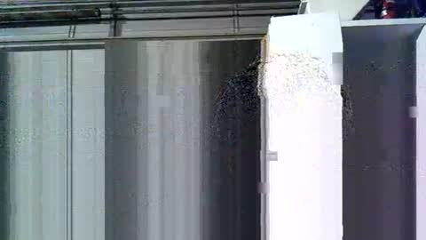 willielowrider online show from 03-10-26, 08:41