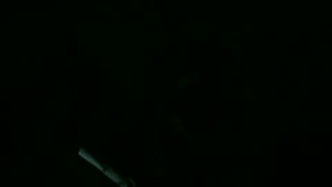 Snapshot of willnedoher chatting on 09-11-25, 11:43 Willhedoher online show from 09-11-25, 11:43