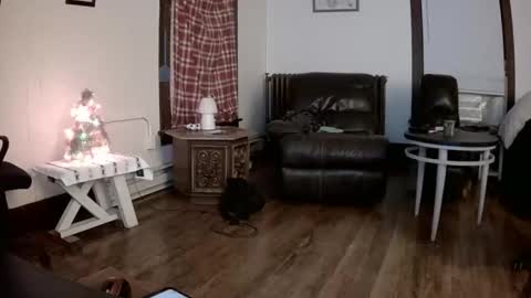 willydogg83 online show from 12-16-25, 06:07