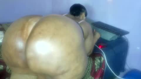 wilmaassylum online show from 11-14-25, 07:51