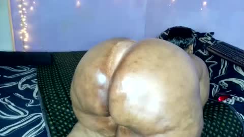 wilmaassylum online show from 11-20-25, 05:51