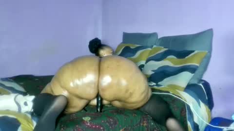 wilmaassylum online show from 02-20-26, 06:59