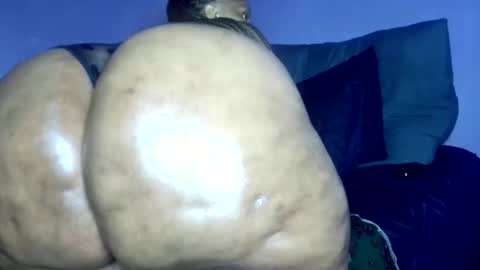 wilmaassylum online show from 03-08-26, 06:28