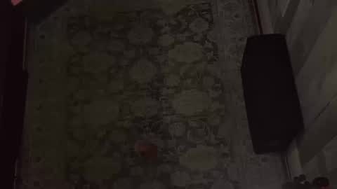 Snapshot of wipwips chatting on 02-11-26, 06:40 KiwiFruit89 online show from 02-11-26, 06:40