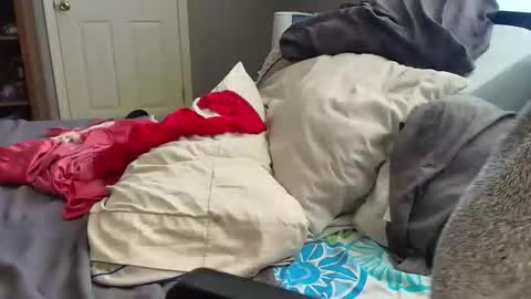 witchbitchmommy online show from 03-18-26, 06:11