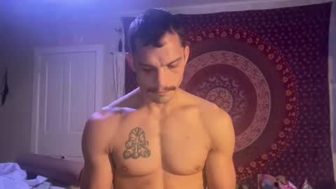 Snapshot of wolfblazer5 chatting on 01-28-25, 11:17 Wolfblazer online show from 01-28-25, 11:17