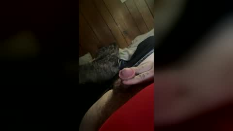 wolfdrose online show from 06-30-26, 06:42