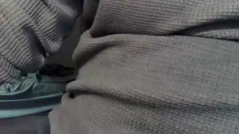 wolfreapsurass online show from 02-24-26, 03:15