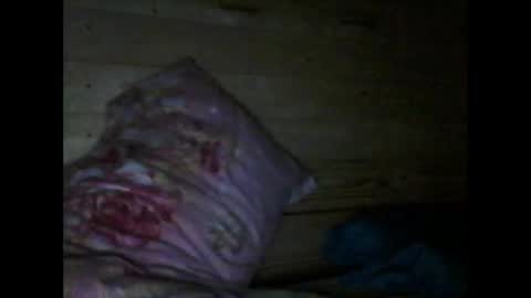 Snapshot of wolfvili chatting on 03-10-26, 06:24 Vili online show from 03-10-26, 06:24