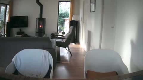 woodwurm and Snoeske online show from 02-19-25, 02:55