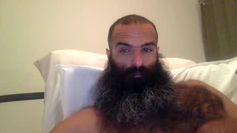 woof_wolf37 online show from 02-28-26, 05:41