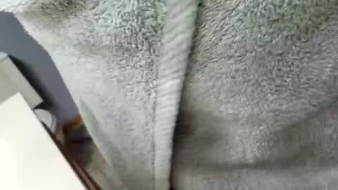 workingman6969 online show from 02-26-25, 09:37