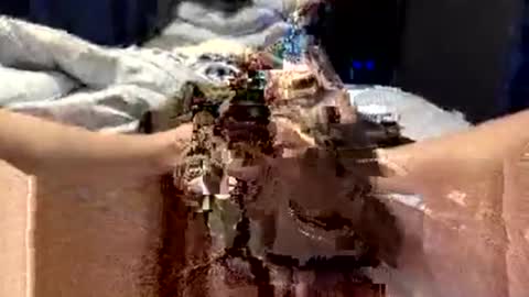 Snapshot of workplace_proximity_associate chatting on 09-28-25, 12:10 workplace_proximity_associate online show from 09-28-25, 12:10