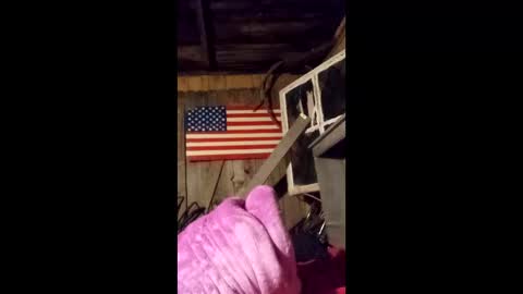 wowsers7 online show from 03-25-26, 04:40