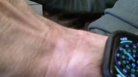 wrangleat0r online show from 11-16-25, 09:20