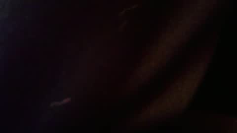 wrangleat0r online show from 02-12-26, 02:50