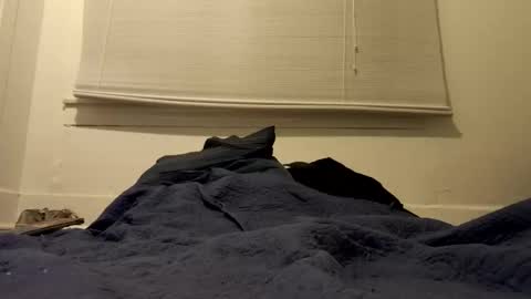 Tslexislut online show from 04-17-26, 09:34