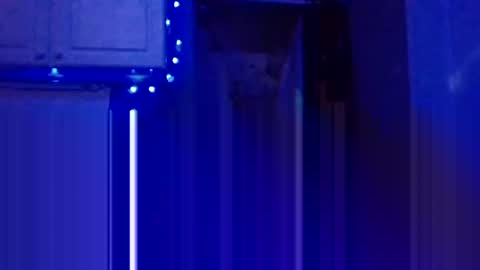 BONER DONOR online show from 01-05-25, 07:28