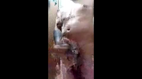 Blk online show from 03-29-26, 11:38