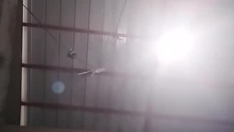 Bella Amor online show from 02-24-26, 07:17