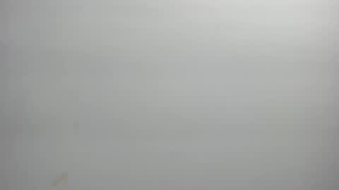 Xime  online show from 02-21-26, 03:07