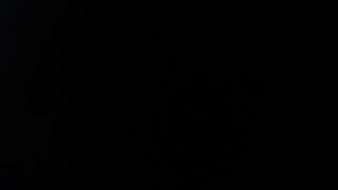 ximlopexx online show from 10-02-25, 10:17