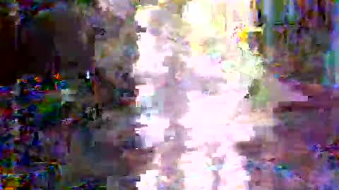 xixo6969 online show from 02-03-26, 02:53