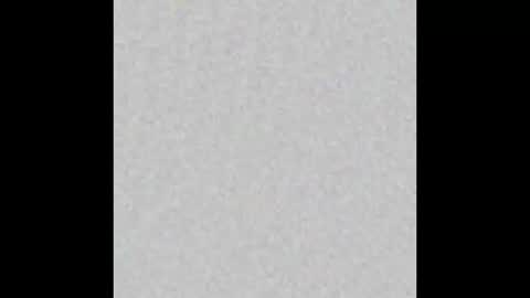 JSSD online show from 11-24-25, 11:54