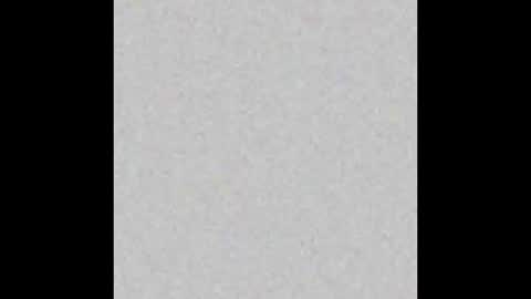 JSSD online show from 02-14-26, 11:29