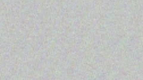 Snapshot of xox_kitten chatting on 06-15-26, 03:53 xox_kitten online show from 06-15-26, 03:53