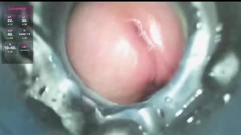 Snapshot of xoxowtf chatting on 12-09-24, 03:54 xoxowtf online show from 12-09-24, 03:54