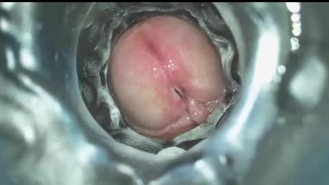 Snapshot of xoxowtf chatting on 12-16-24, 07:43 xoxowtf online show from 12-16-24, 07:43