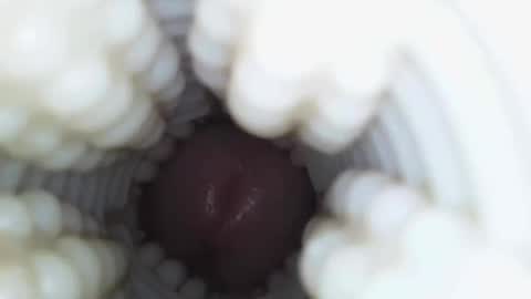 Snapshot of xoxowtf chatting on 01-09-26, 04:26 xoxowtf online show from 01-09-26, 04:26